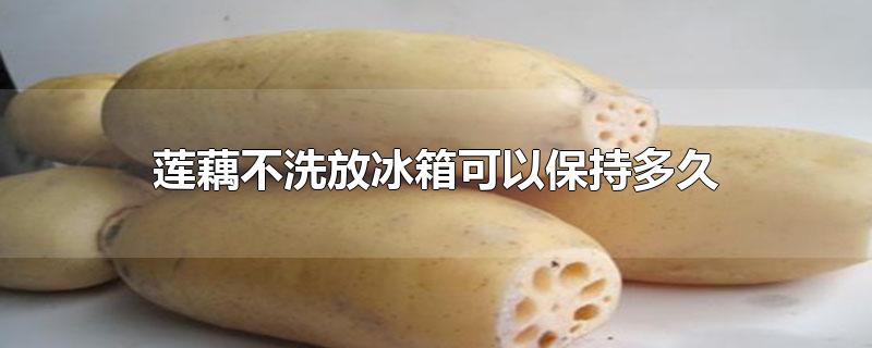 莲藕不洗放冰箱可以保持多久