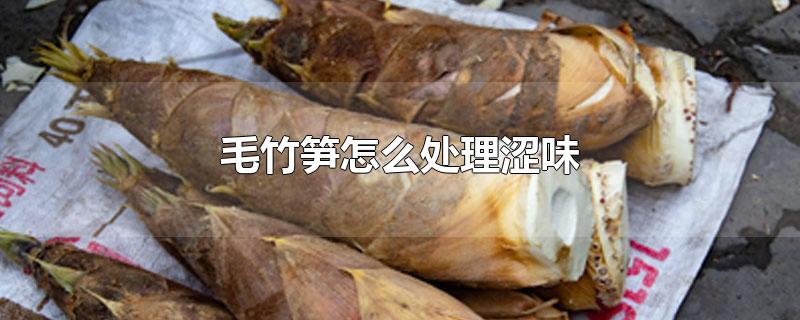 毛竹笋怎么处理涩味