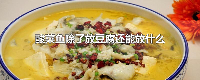 酸菜鱼除了放豆腐还能放什么