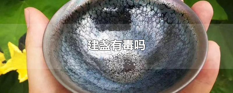 建盏有毒吗