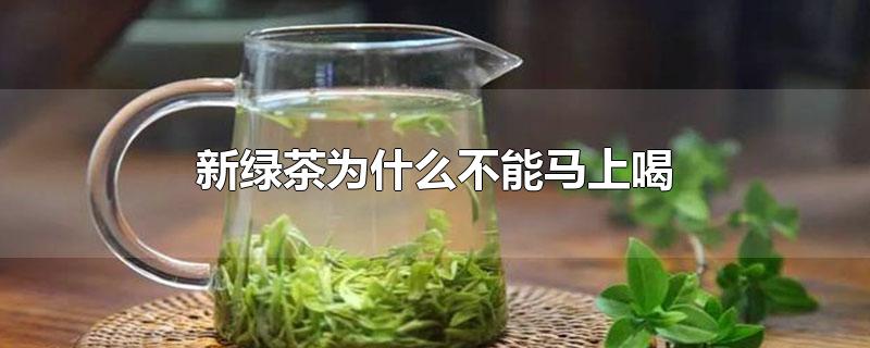 新绿茶为什么不能马上喝