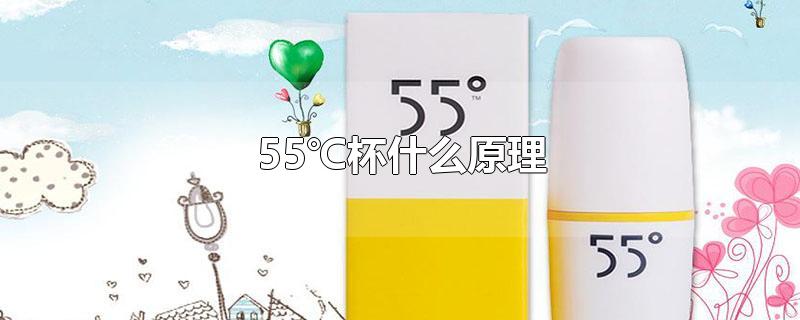 55℃杯什么原理