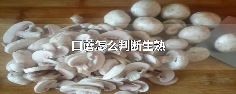 口蘑怎么判断生熟