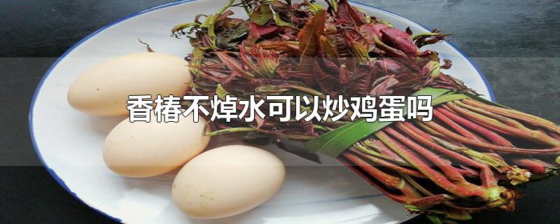 香椿不焯水可以炒鸡蛋吗