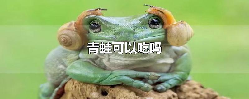 青蛙可以吃吗