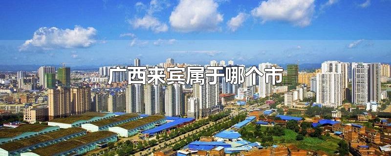 广西来宾属于哪个市