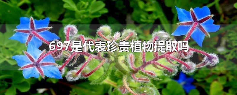 697是代表珍贵植物提取吗