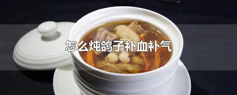 怎么炖鸽子补血补气