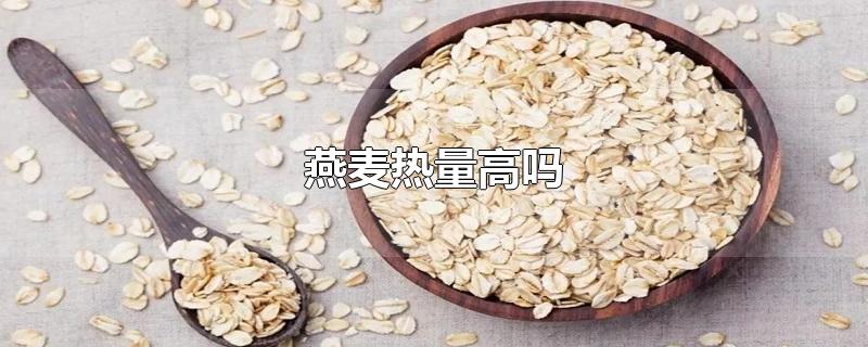 燕麦热量高吗