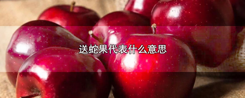 送蛇果代表什么意思