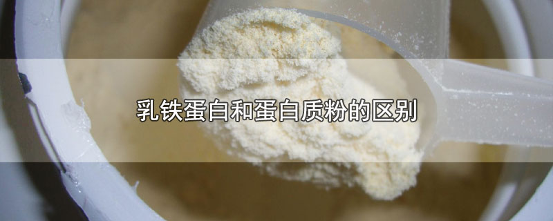 乳铁蛋白和蛋白质粉的区别