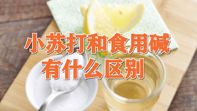 小苏打和食用碱有什么区别