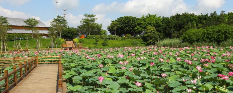 夏季干燥还是冬季干燥