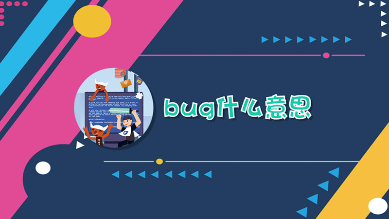 bug什么意思