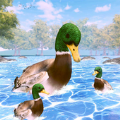 鸭子家庭生活模拟器3D(Duck Family Life Simulator 3D)