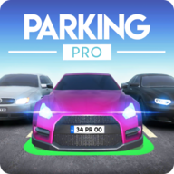 专业停车场(ParkingPro)