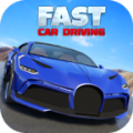 快速汽车驾驶(FastCarDriving)