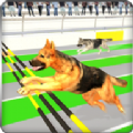 竞争对手赛狗(Rival Stars Greyhounds Dog Racing Game)