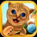 终极猫冒险(Ultimate Cat Adventures: Pet Life Simulator)