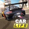 汽车人生开放世界(Car Life)