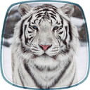 White Tiger Live Wallpaper