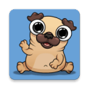 Pug-MyVirtualPetDog