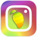 PhotoLab-MangoCameraInsta