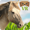 VRHorseRide