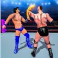 环斗摔跤3D(Ring combat: Wrestling Game 3D)