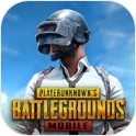 和平精英(国际服)手机版(PUBG MOBILE)-国际服游戏下载