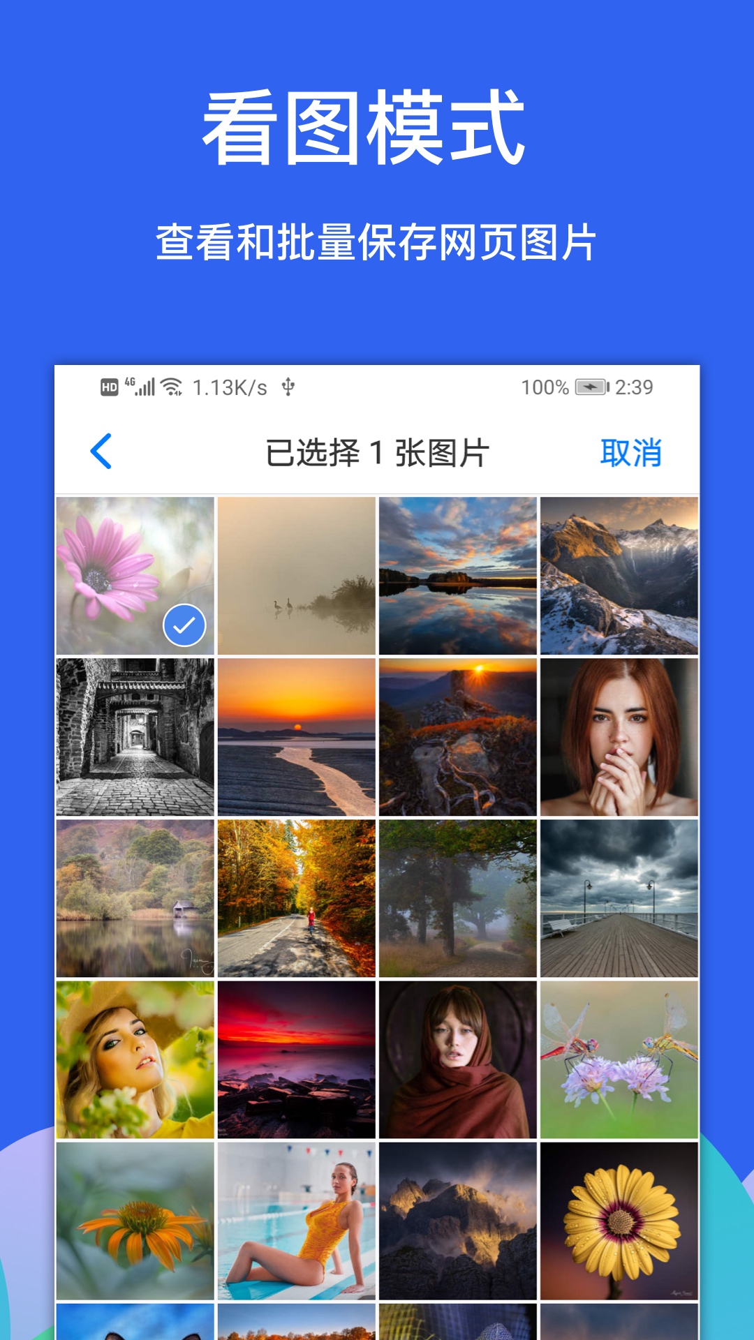 Alook浏览器v7.7