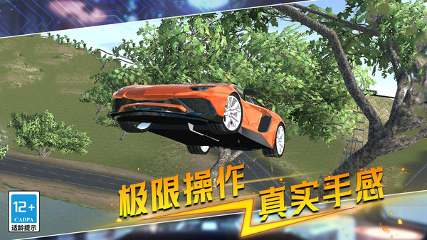 疯狂赛车模拟v1.0.0